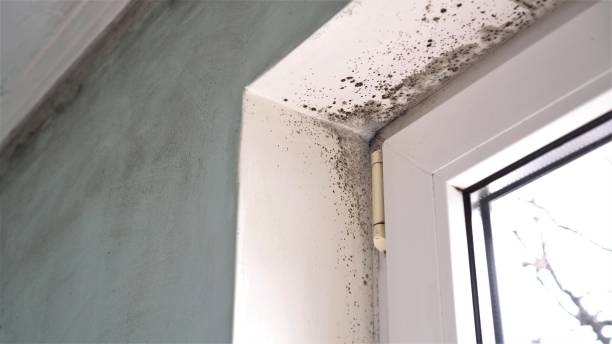 Water Damage Restoration in Carrboro, NC