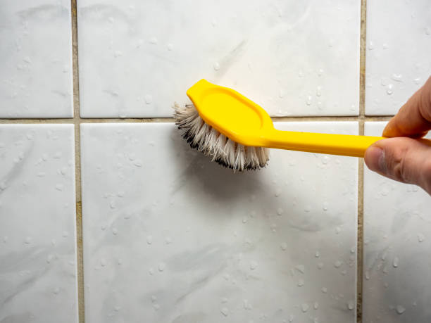 Best Mold Cleaning Services  in Carrboro, NC