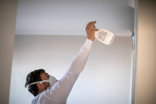 Mold Removal and Inspection in Carrboro, NC