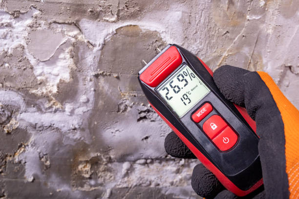 Best Mold Remediation Services  in Carrboro, NC