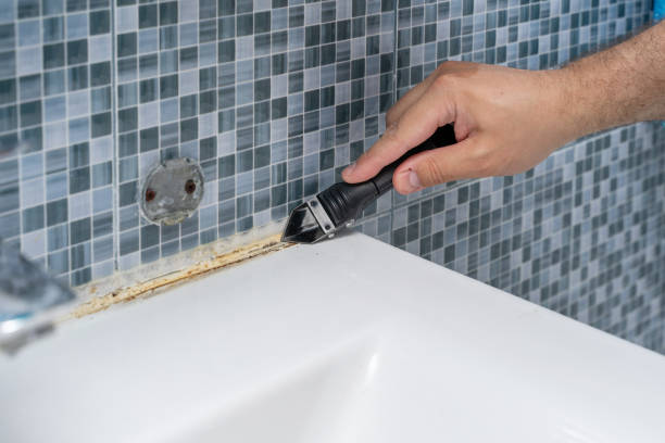 Best Mold Removal Company Near Me  in Carrboro, NC